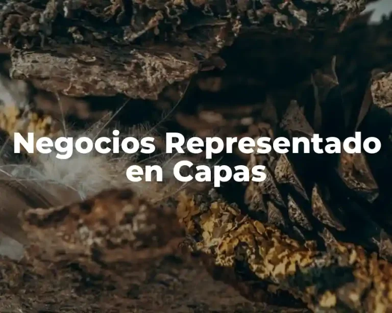 Negocios Representado en Capas
