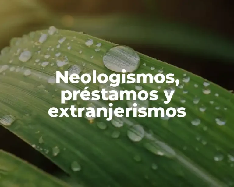 Neologismos, préstamos y extranjerismos