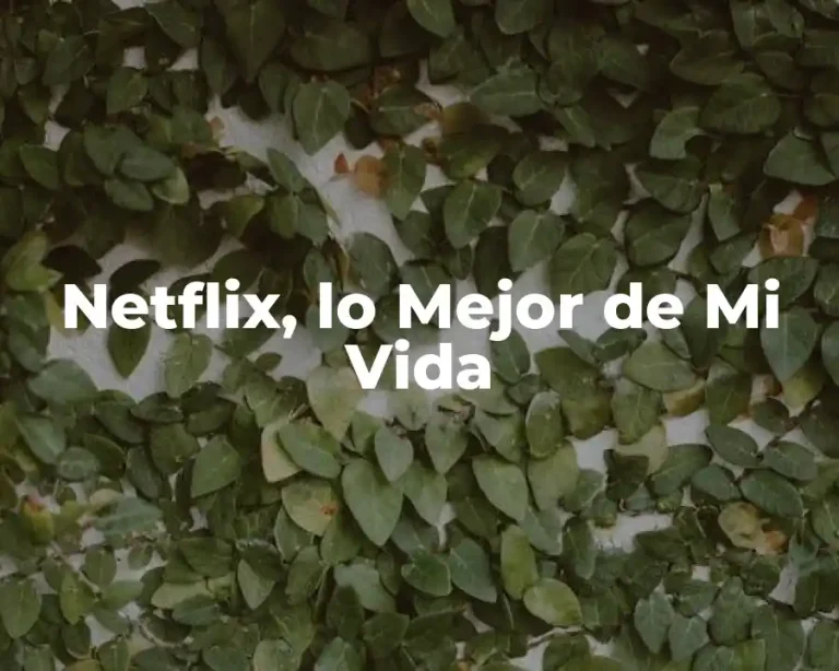 Netflix, lo Mejor de Mi Vida