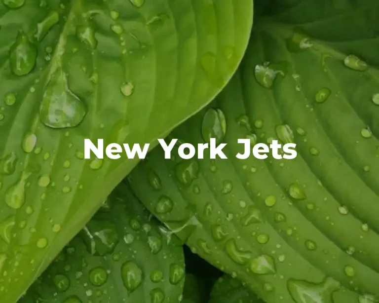 New York Jets