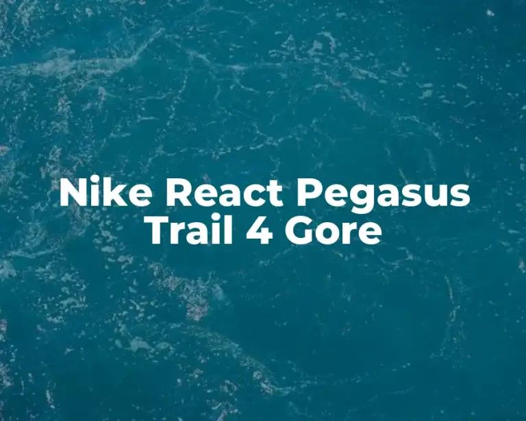 Nike React Pegasus Trail 4 Gore