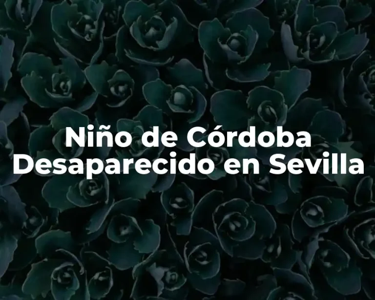 Niño de Córdoba Desaparecido en Sevilla