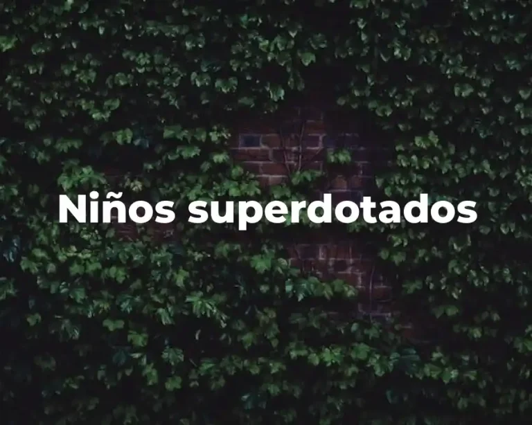 Niños superdotados