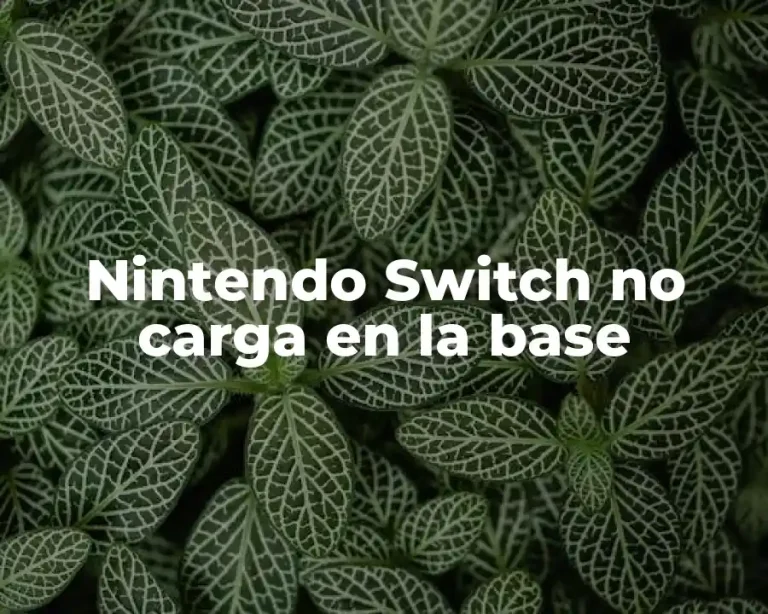 Nintendo Switch no carga en la base