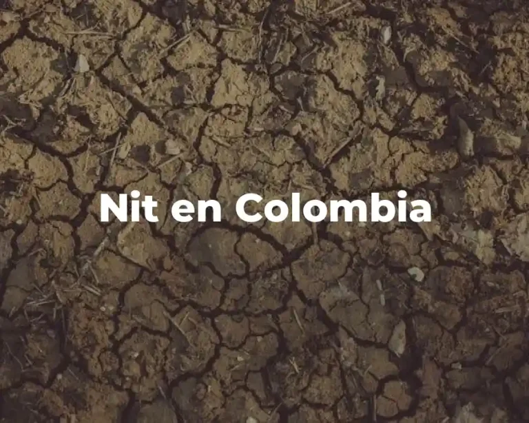 Nit en Colombia