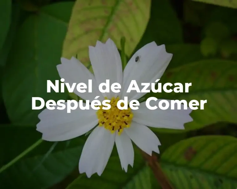 Nivel de Azúcar Después de Comer