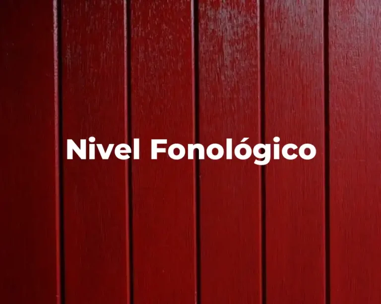 Nivel Fonológico