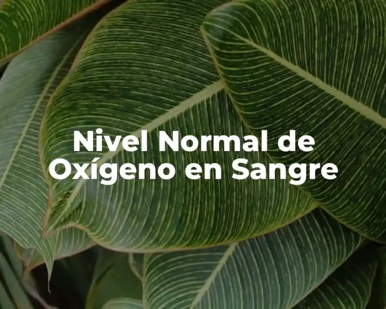 Nivel Normal de Oxígeno en Sangre
