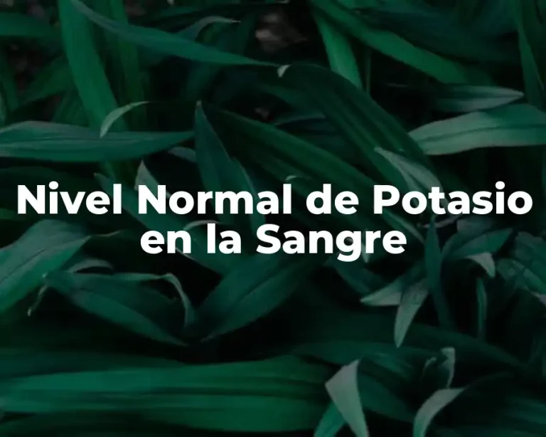Nivel Normal de Potasio en la Sangre