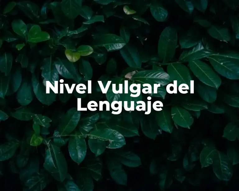Nivel Vulgar del Lenguaje