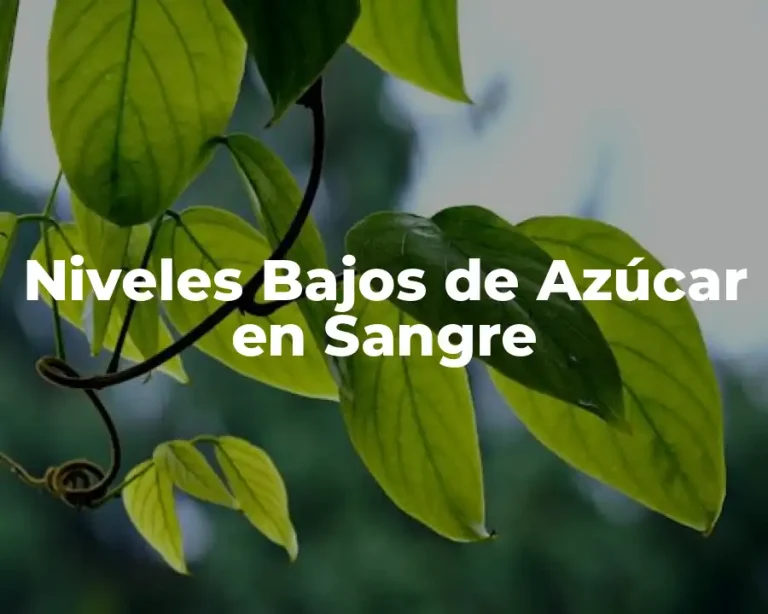 Niveles Bajos de Azúcar en Sangre