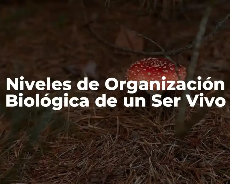 Niveles de Organización Biológica de un Ser Vivo