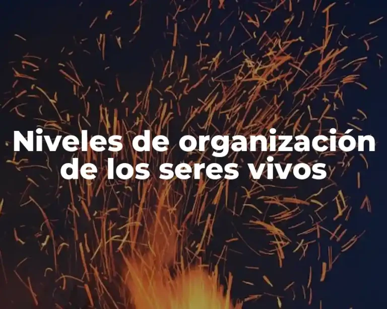 Niveles de organización de los seres vivos
