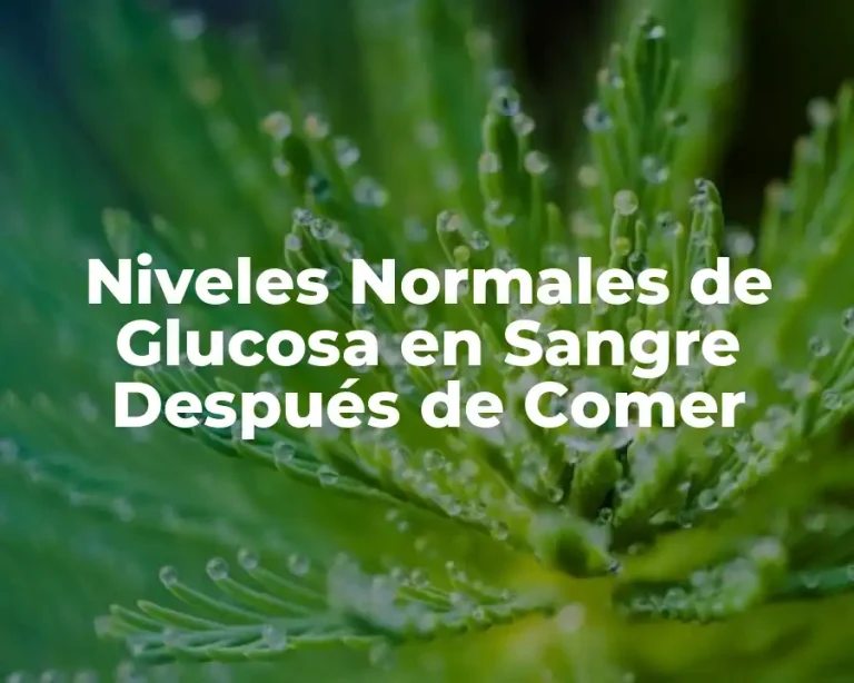 Niveles Normales de Glucosa en Sangre Después de Comer