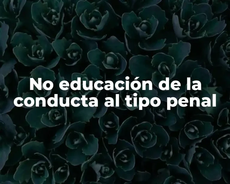 No educación de la conducta al tipo penal