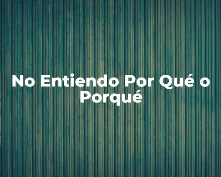 No Entiendo Por Qué o Porqué