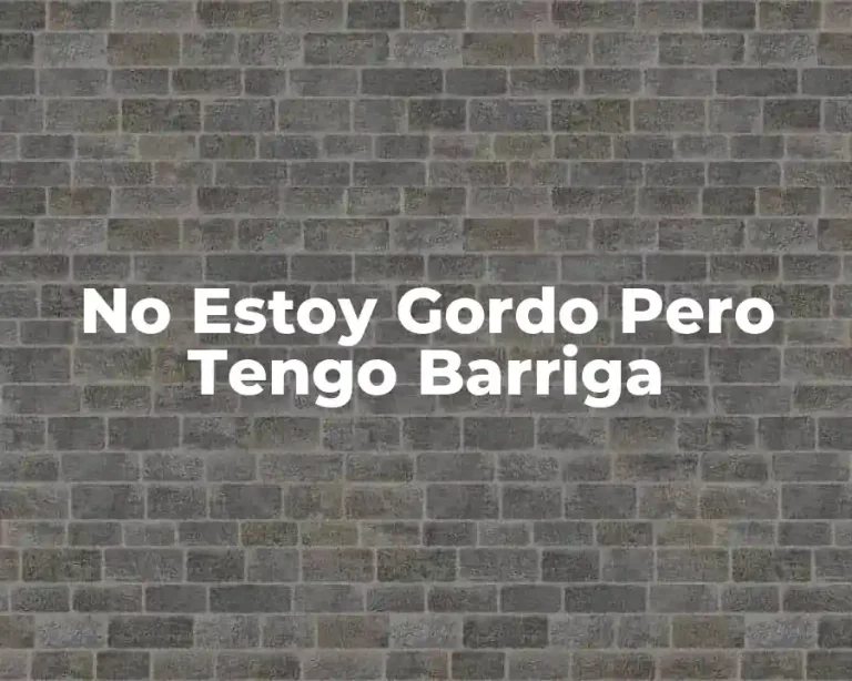 No Estoy Gordo Pero Tengo Barriga