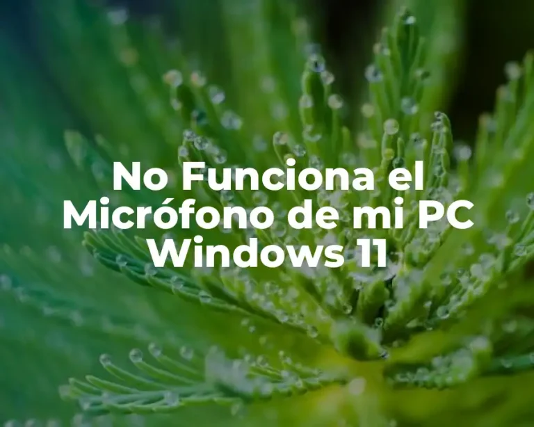 No Funciona el Micrófono de mi PC Windows 11