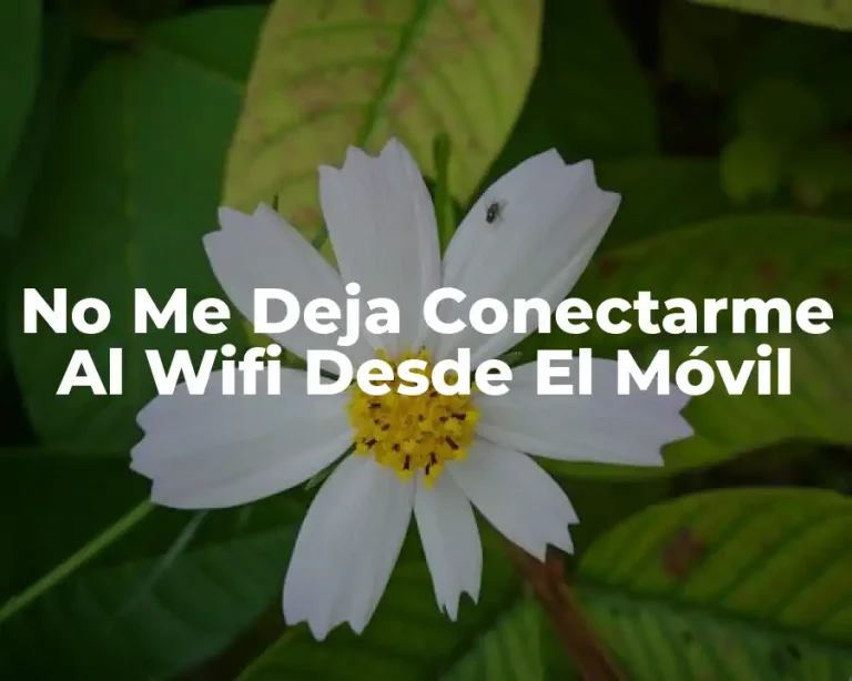 No Me Deja Conectarme Al Wifi Desde El Móvil