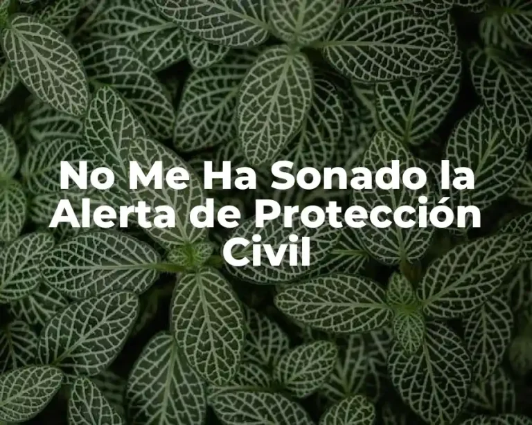No Me Ha Sonado la Alerta de Protección Civil