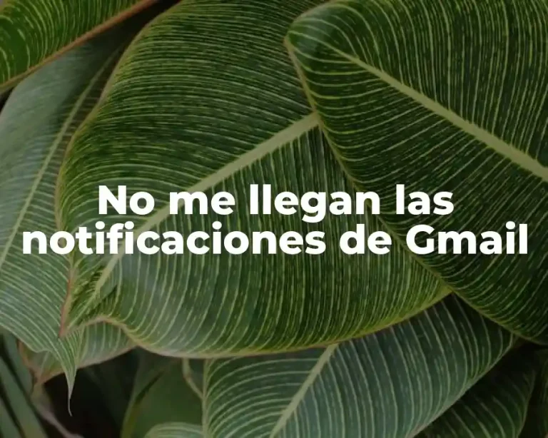 No me llegan las notificaciones de Gmail