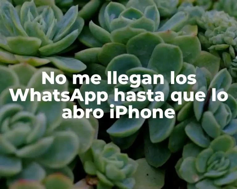 No me llegan los WhatsApp hasta que lo abro iPhone