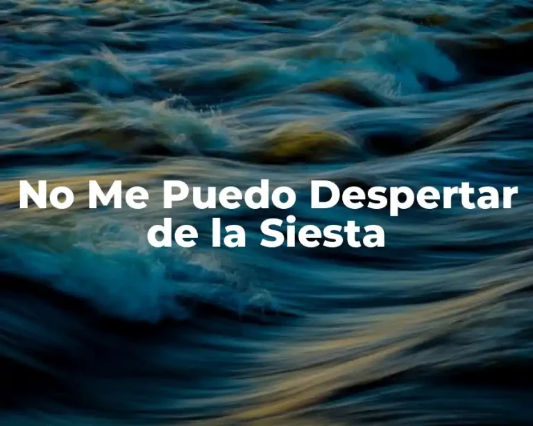 No Me Puedo Despertar de la Siesta