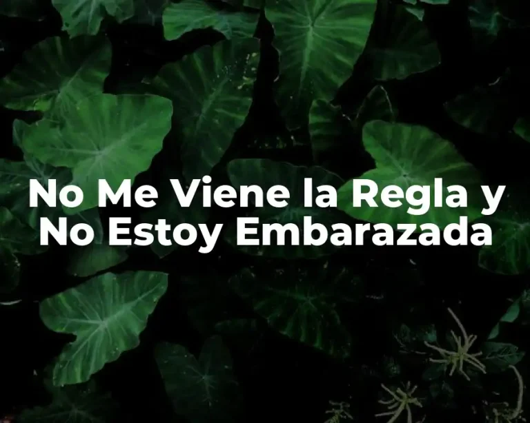 No Me Viene la Regla y No Estoy Embarazada