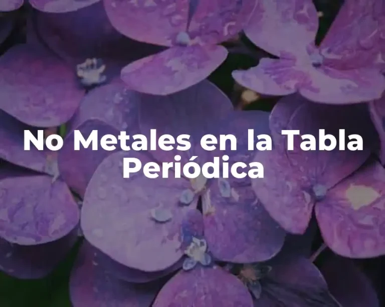 No Metales en la Tabla Periódica