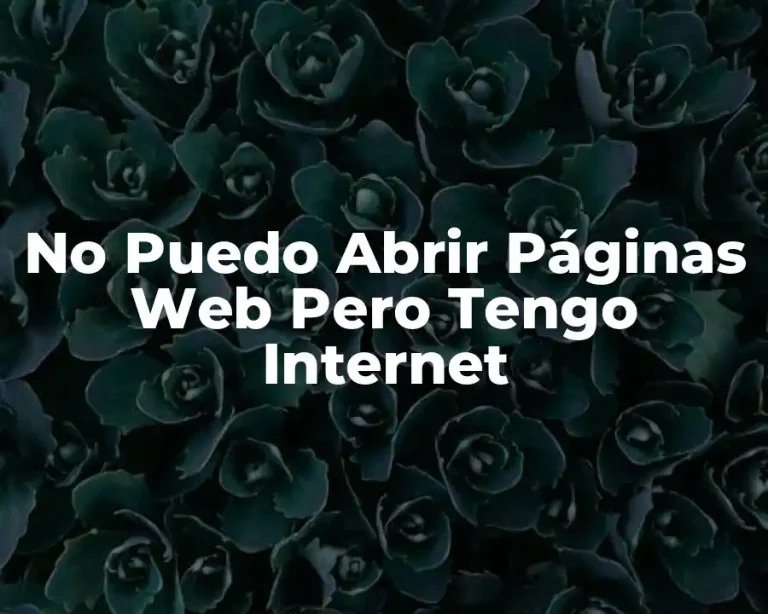 No Puedo Abrir Páginas Web Pero Tengo Internet