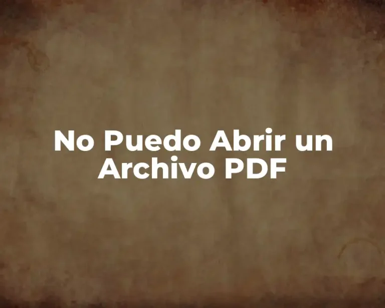 No Puedo Abrir un Archivo PDF