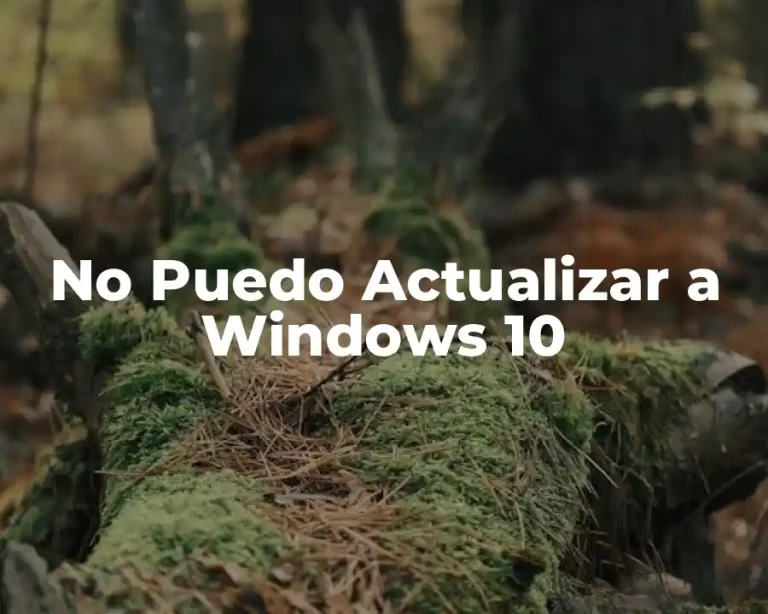 No Puedo Actualizar a Windows 10