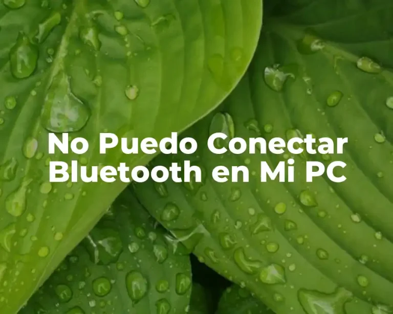 No Puedo Conectar Bluetooth en Mi PC