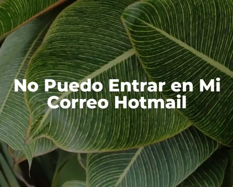 No Puedo Entrar en Mi Correo Hotmail