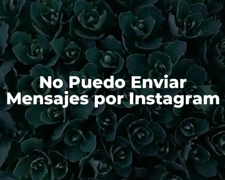 No Puedo Enviar Mensajes por Instagram