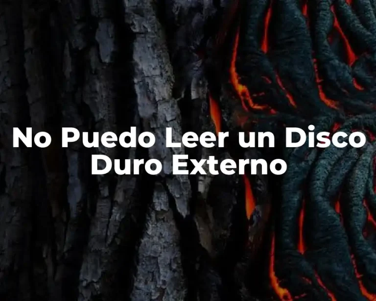 No Puedo Leer un Disco Duro Externo