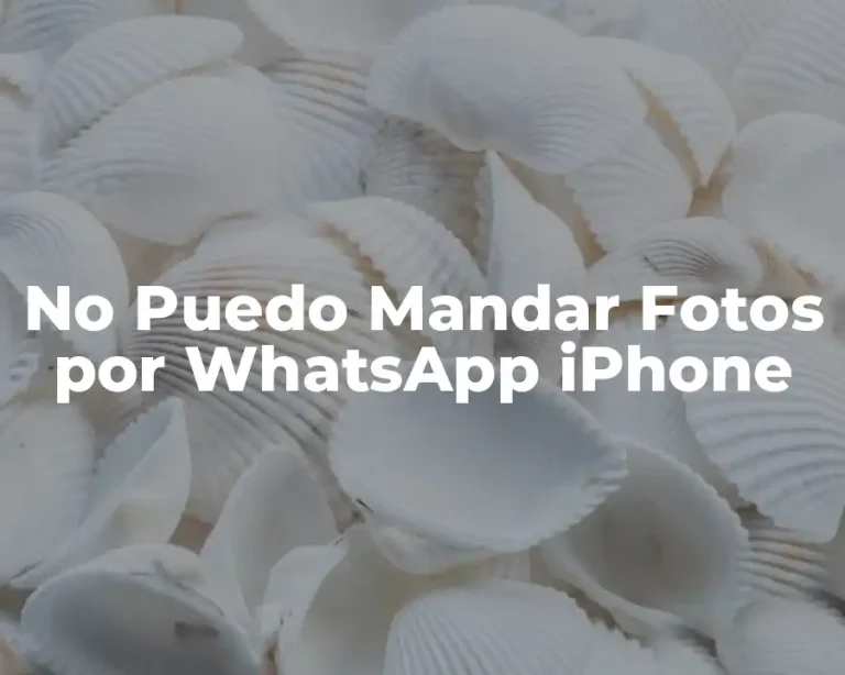 No Puedo Mandar Fotos por WhatsApp iPhone