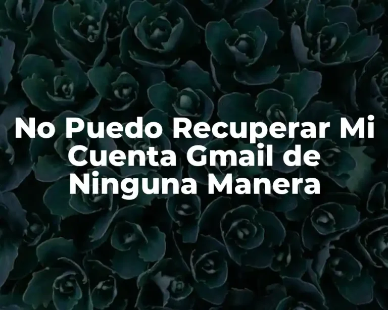 No Puedo Recuperar Mi Cuenta Gmail de Ninguna Manera