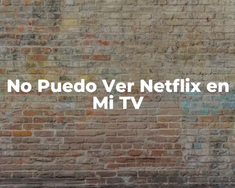 No Puedo Ver Netflix en Mi TV