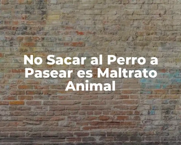 No Sacar al Perro a Pasear es Maltrato Animal