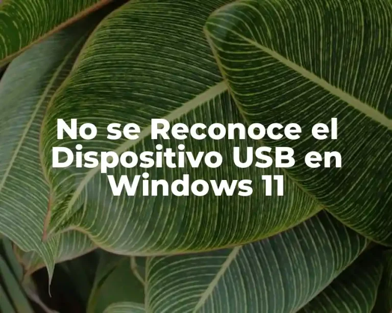 No se Reconoce el Dispositivo USB en Windows 11