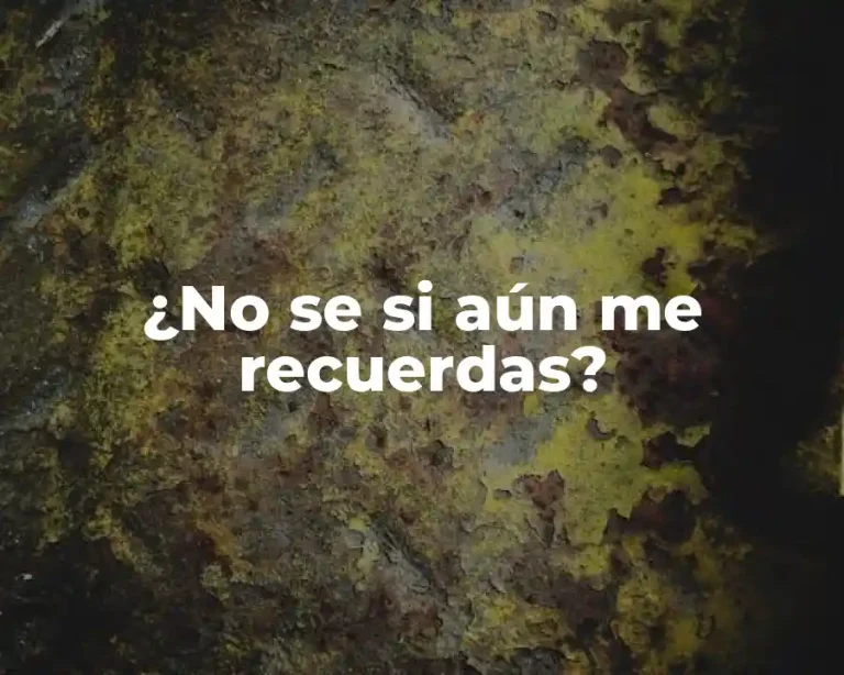 ¿No se si aún me recuerdas?