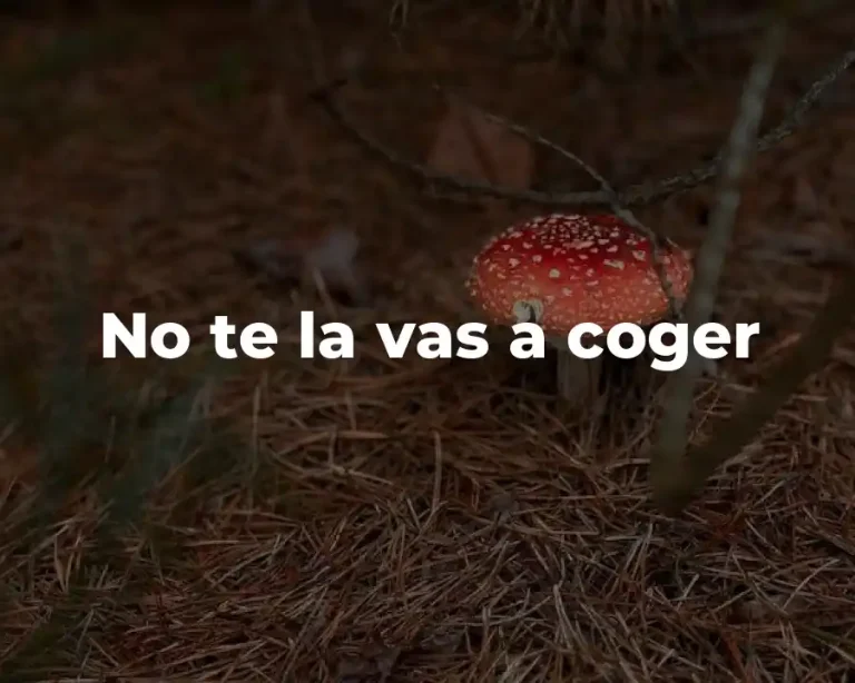 No te la vas a coger