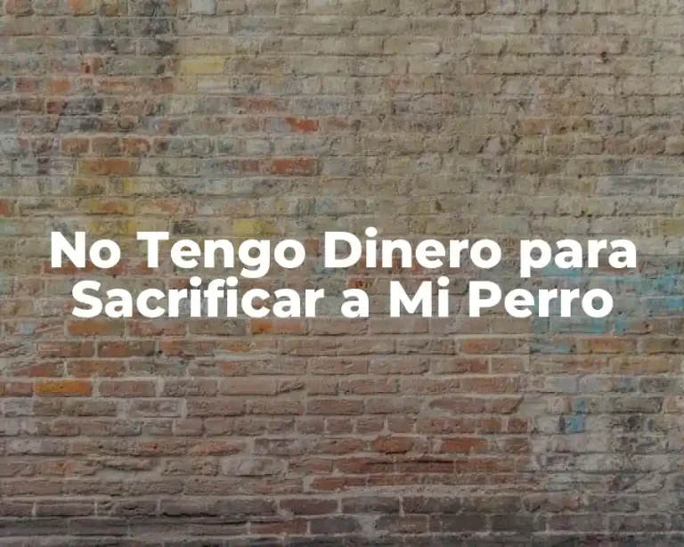 No Tengo Dinero para Sacrificar a Mi Perro
