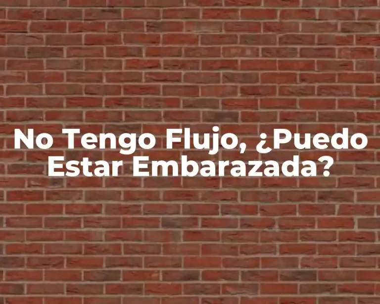 No Tengo Flujo, ¿Puedo Estar Embarazada?
