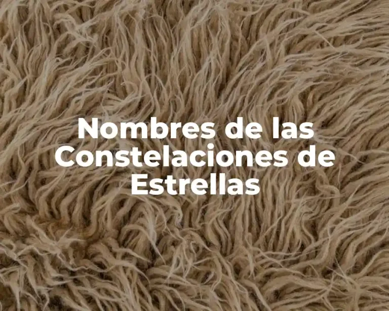 Nombres de las Constelaciones de Estrellas