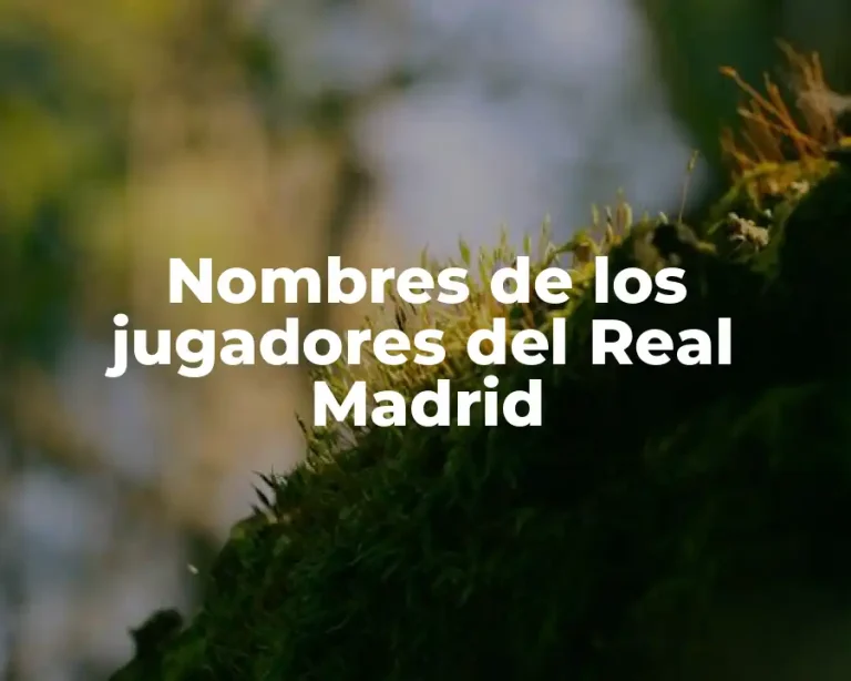 Nombres de los jugadores del Real Madrid