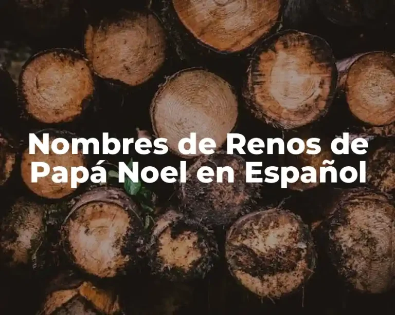 Nombres de Renos de Papá Noel en Español