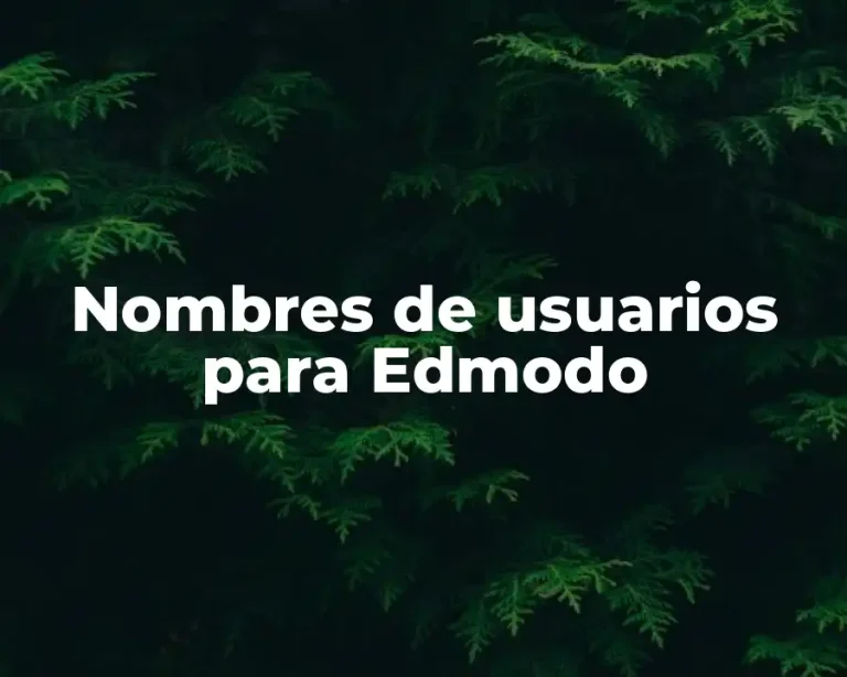 Nombres de usuarios para Edmodo