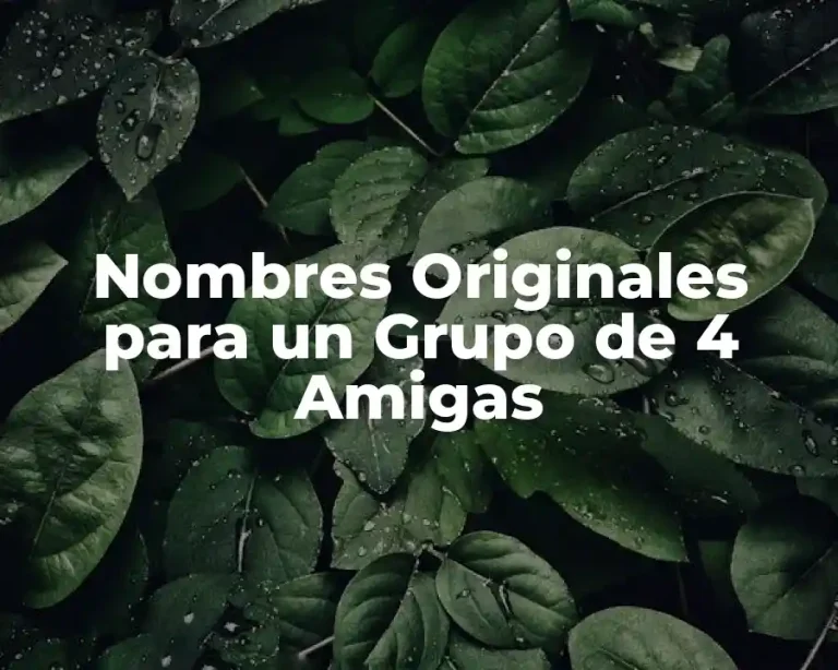 Nombres Originales para un Grupo de 4 Amigas
